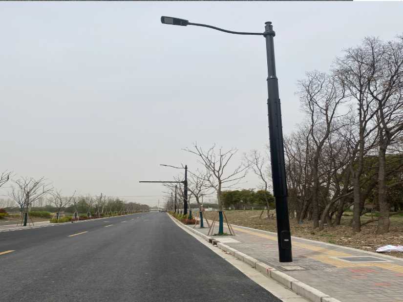 江川区上海综合杆 太阳能路灯工程